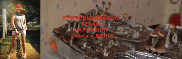 тгк Белоозёрский